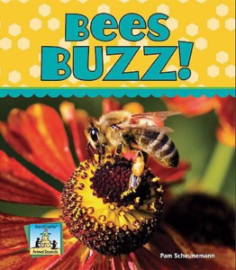 bees buzz