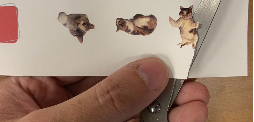 Pictures of Cats being cut out on a white piece of paper